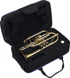 SML Paris CO50 - Cornet en Sib Verni avec Kit d'Entretien BG