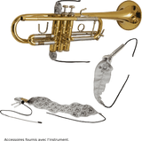 SML Paris CO50 - Cornet en Sib Verni avec Kit d'Entretien BG