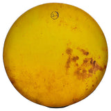 Daf iranien Erbane Shiraz Professionnel par Sami Hosseini - SOLISTOS