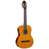 Guitare VALENCIA VC264 - SOLISTOS