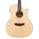 Guitare 12 cordes D'Angelico Premier Gramercy LS Aged Mahogany
