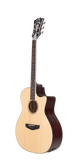 Guitare 12 cordes D'Angelico Premier Gramercy LS Aged Mahogany