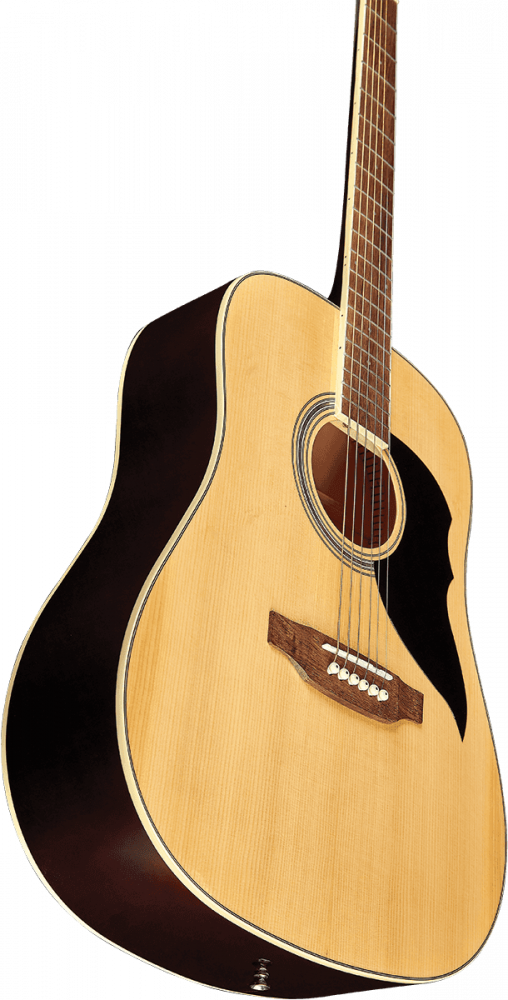 Guitare Acoustique Eko Ranger 6 Dreadnought Natural.