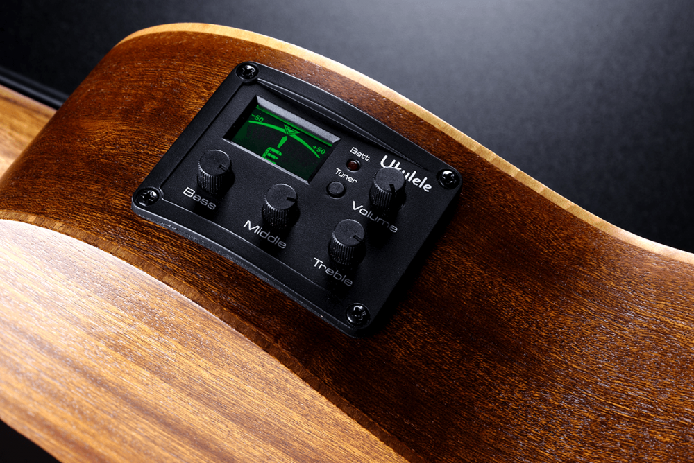 Lâg Tiki Bass Fretless Pan-Coupé Électro - Basse Électro-Acoustique Fretless