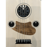 Oud Débutant BLOT 100 - SOLISTOS