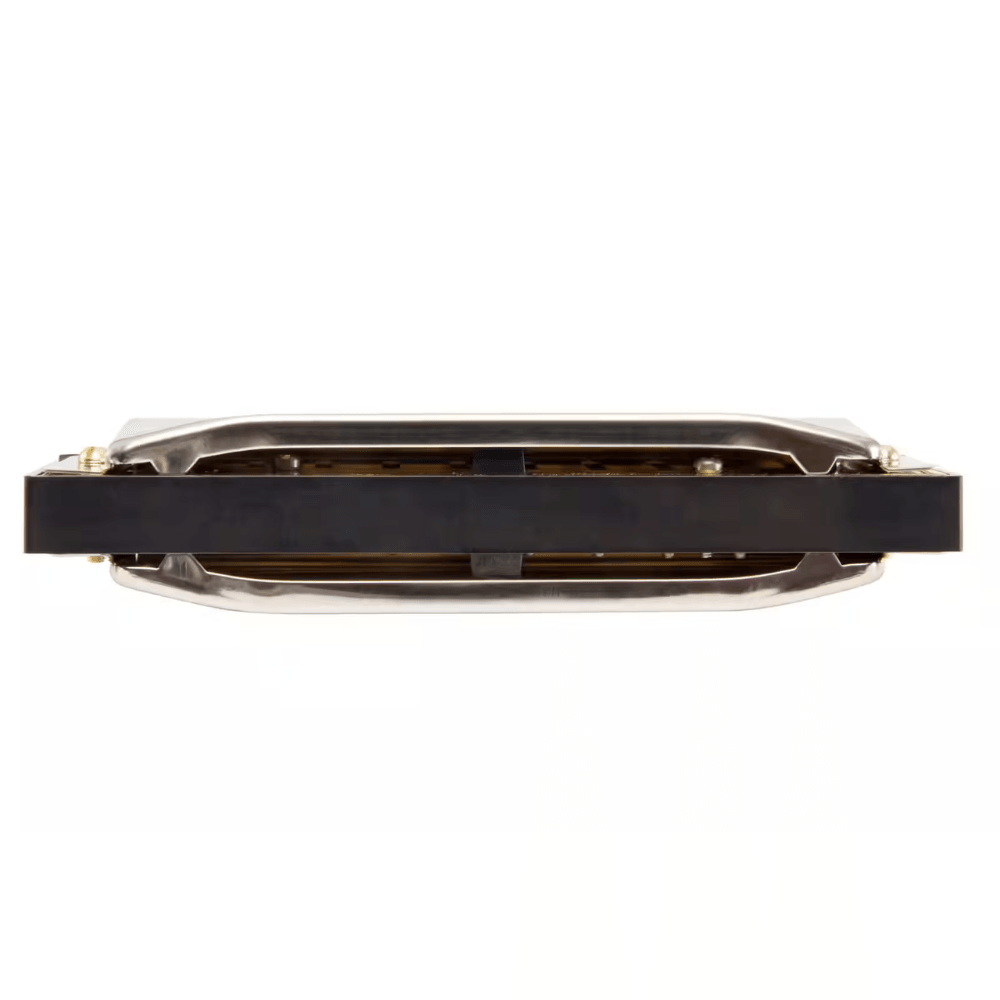 Harmonica Diatonique Hohner Thunderbird 10 Trous - Do Grave - Qualité Professionnelle