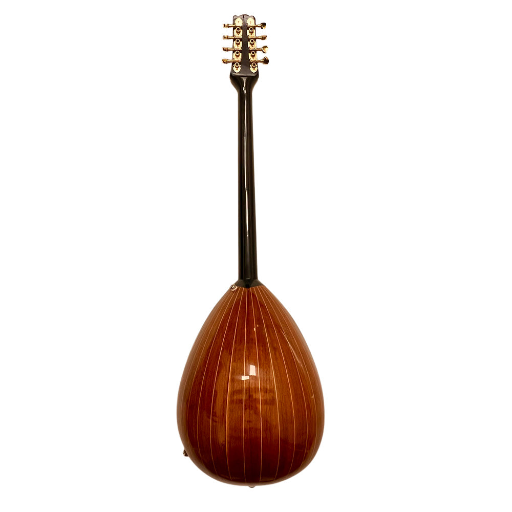 Acheter ou apprendre le Bouzouki Grec pas cher solistos paris