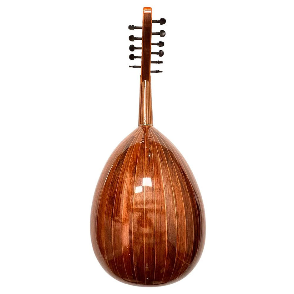 10 Pièces/ensemble Turquie Oud Cordes En Nylon Argent - Belgium